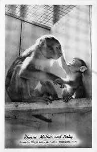 Benson Wild Animal Farm Hudson, New Hampshire, USA Monkey 1949 real photo, st...