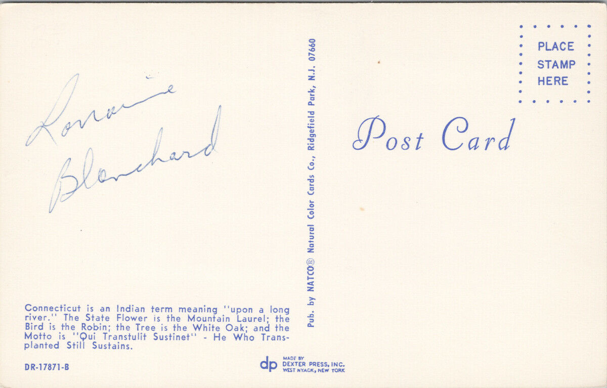 Connecticut Map Large Letter Nutmeg State Mountain Laurel Flower