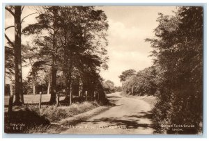 c1910 East Rudham Pockthorpe Road Norfolk England Antique Tuck Art Postcard