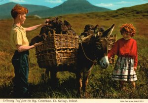 Vintage Postcard 1983 Collecting Turf from Bog Connemara County Galway Ireland