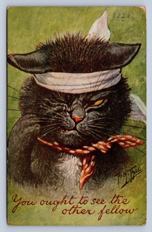 J99/ Cat Animal Postcard c1910 Artist Signed Arthur Thiele Wounded Cat 478