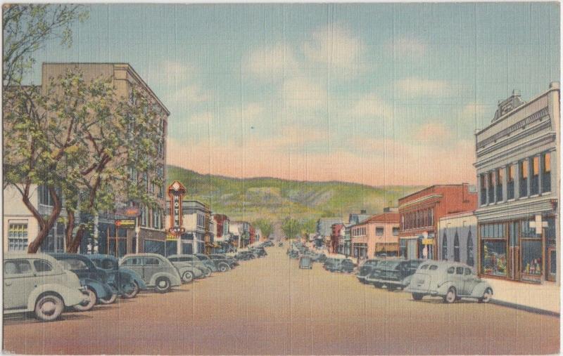 Linen Roadside RATON New Mexico NM  Postcard Hotel Stores Cars