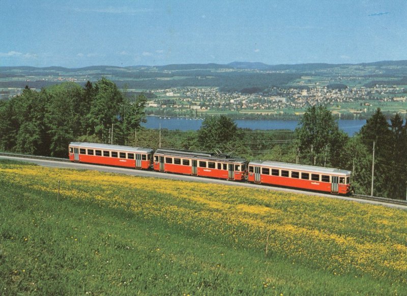 Pendelzug Der Forchbahn Switzerland Train Postcard