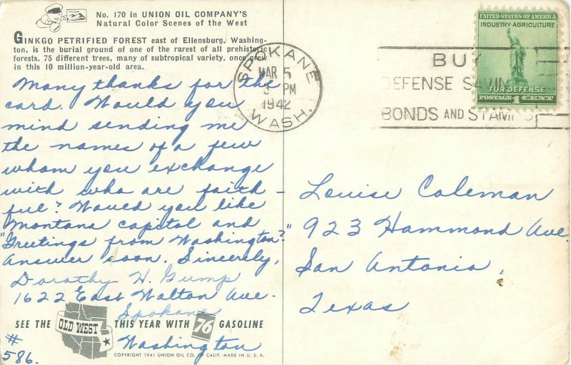 1942 Gingko Petrified Forest Ellensburg WA Union Oil 76 Postcard 170, Couple