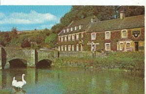 Gloucestershire Postcard - River Coln - Bibury - Ref 11260A