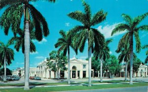 USA Royal Poinciana Plaza Palm Beach Vintage Postcard 07.44