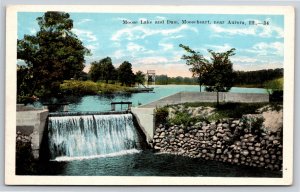 Dams~Moose Lake & Dam Mooseheart Aurora Illinois~Vintage Postcard