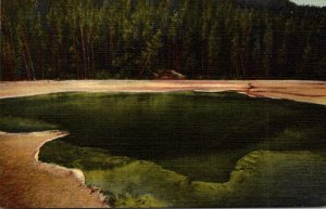 Yellowstone National Park Emerald Pool Black Sand Basin Curteich