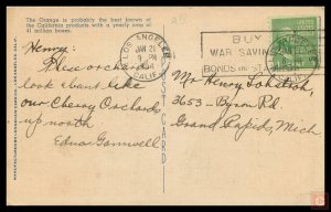 Picking Oranges in California