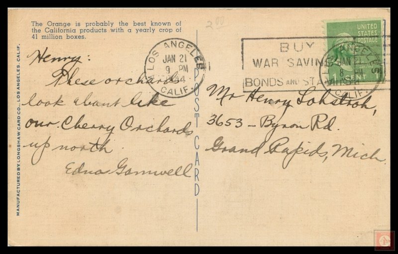 Picking Oranges in California