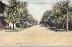 Elkhart Indiana~Second Street North~Houses behind Trees~1909 Postcard