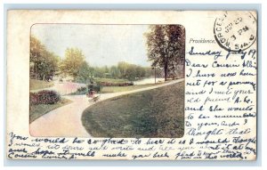 1903 View in Roger Williams Park Providence Rhode Island RI PMC Postcard