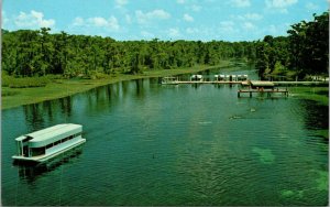 Vtg Wakulla Springs Hotel Lake Spring View Glass Bottom Boat Florida FL Postcard