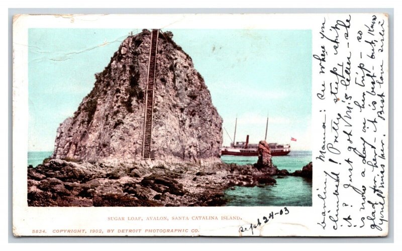 Sugar Loaf  Santa Catalina Island CA Detroit Publishing UDB Postcard W12