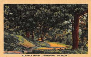 Thompson Michigan Al O Ray Motel Street View Antique Postcard K76565