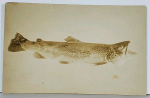 Manchester ME 3lb Fish Freds Catch 1908 to Hawkins Brattleboro VT Postcard K13