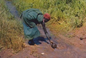 Burundi Woman Gathering Water Africa Rare Postcard