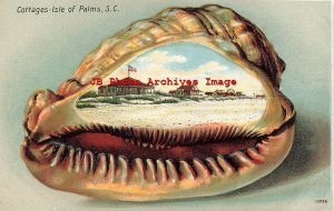 Shell Border, Trouche No 13283, Cottages, Isle of Palms, South Carolina