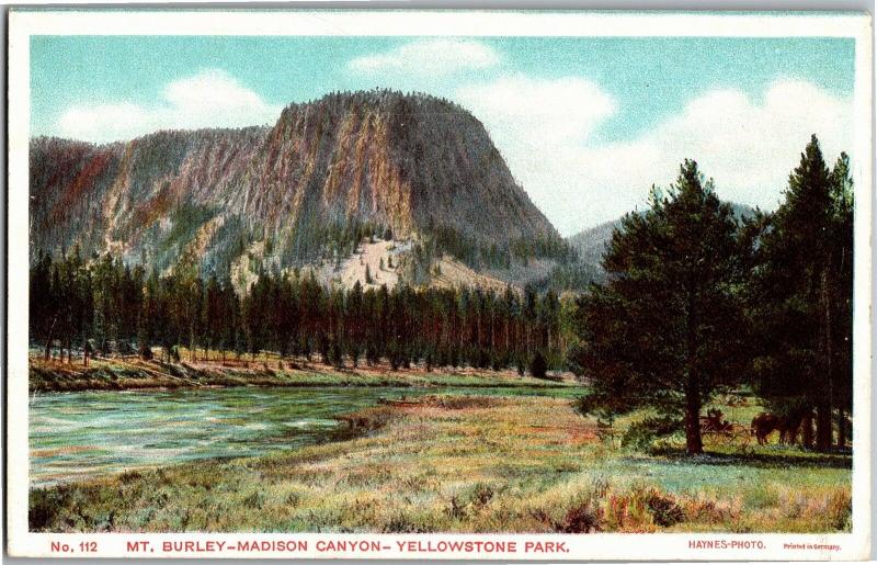 Mount Burley Madison Canyon, Yellowstone Park Vintage Postcard M16