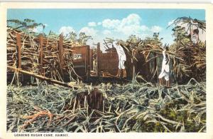 Hawaii Loading Sugar Cane Harvest Scene Antique Postcard K29929