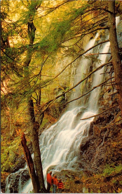 Lewis Falls Big Meadows Shenandoah National Park Virginia VA Postcard VTG UNP 