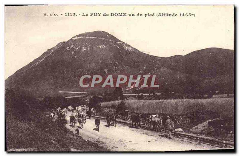 Old Postcard Puy de Dome saw foot Cows