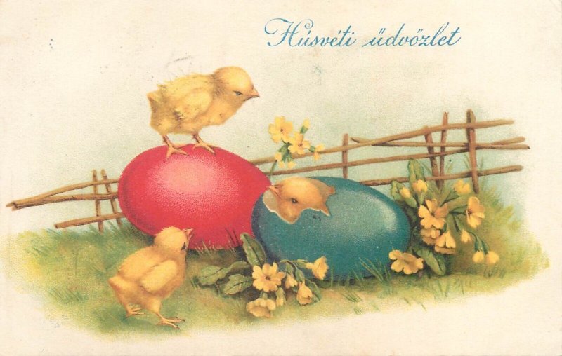 Easter greetings postcard 1929 Hungary drawn poultry chickens & penciled eggs 