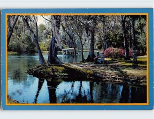 Postcard A Beautiful Florida Scene Along Silver River, Silver Springs, Florida