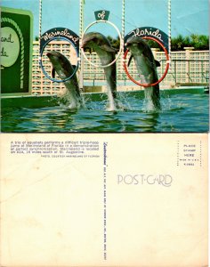 Marineland of Florida (23322