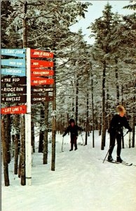 Vtg Mt Snow Vermont VT Trailmarker Sign near Summit Skiers Skiing Ski Postcard