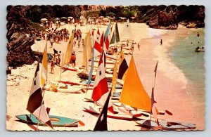 Bermuda  Sunfish Sailboats  Reefs Beach Club    Postcard