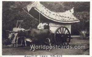 Real Photo Bullock Cart Malaysia Writing On Back 