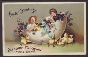 Easter Greeting,Chicks,Children,Shoenbrun Taylors Postcard 