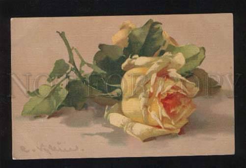 053852 Huge Yellow ROSES on Table by C. KLEIN vintage PC