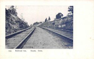 NOANK~GROTON, CT Connecticut  RAILROAD CUT  Train Tracks  c1900's UDB Postcard