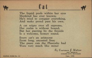 Garden City Michigan MI Sing-a-Song Postal Poem No. 23 Cat Ode c1910 Postcard