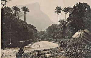 RIO de JANEIRO BRAZIL~Jardin Botanico~1920s PHOTO POSTCARD