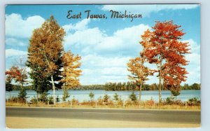 EAST TAWAS, MI Michigan  LAKESIDE ROAD SCENE 1955 Iosco County Postcard