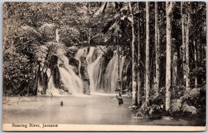 1910's Roaring River Jamaica Scenic Waterfall Tourist Attraction Posted Postcard