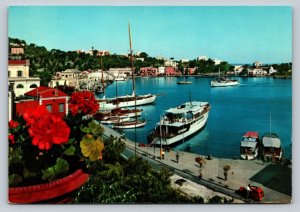 Boats at Porto D'Ischia In Italy 4x6 Vintage Postcard 0153