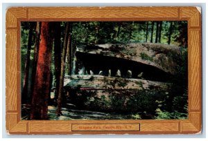 c1910's Alligator Rock Wooden Frame Catskill Mts. New York NY Antique Postcard