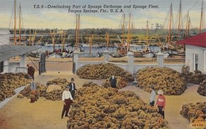 Part of Sponge Exchange and Sponge Fleet Tarpon Springs, Florida