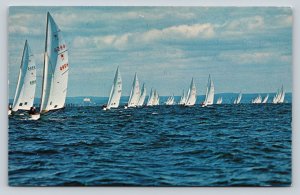 Star Boats Racing in Long Island Sound's Salty Waters Vintage Postcard 0755