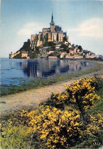 BR48578 Le mont saint michel le mont a maree montante    France