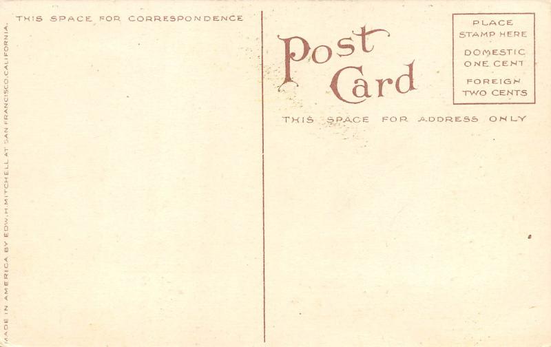 Santa Barbara California c1910 Postcard High School