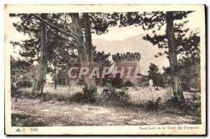 Old Postcard Die Undergrowth and Tower Purguon