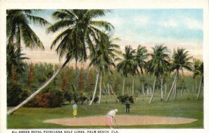 PC GOLF, FL, PALM BEACH, GREEN ROYAL POINCIANA GOLF, Vintage Postcard (b45863)