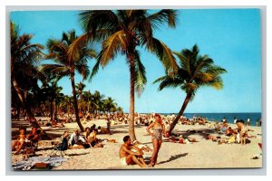 Vintage 1950's Postcard Beach Goers Bikinis on a Tropical Beach in Florida