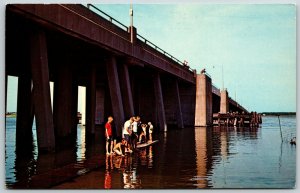 U. S. Highway 50 Bridge at Ocean City, MD - Postcard 