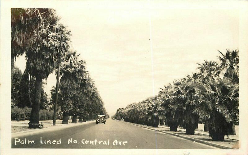 Autos Palm lined Central Avenue Phoenix Arizona 1940s RPPC Photo Postcard 7134